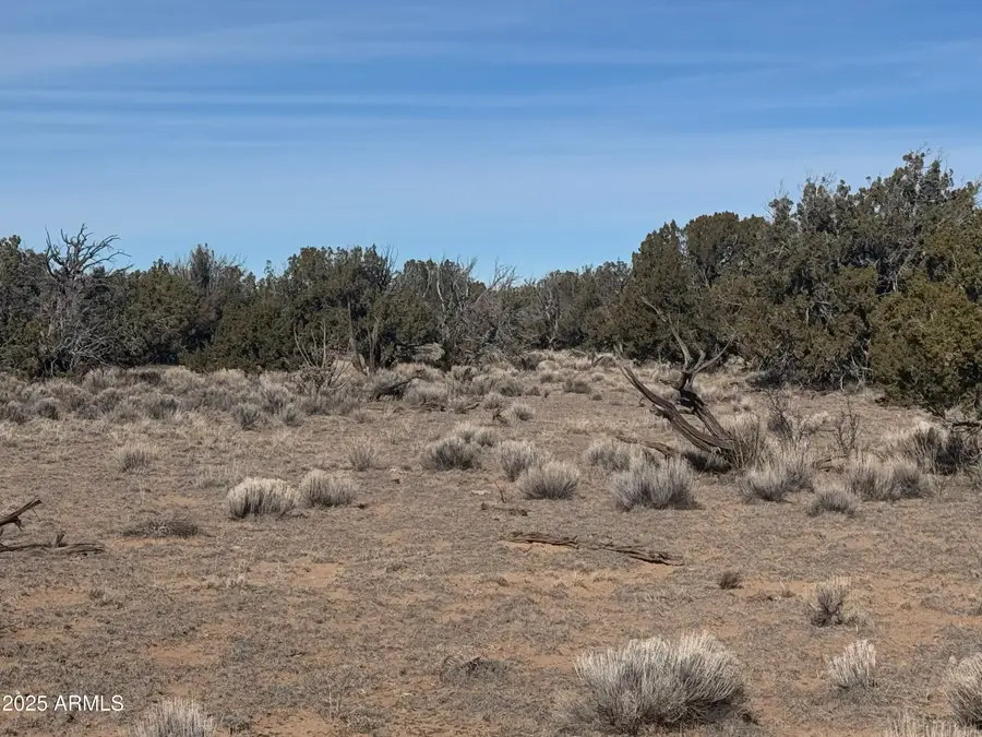 Lot 98 Woodland Valley Ranch -- #98, Saint Johns, AZ 85936 - Image #3