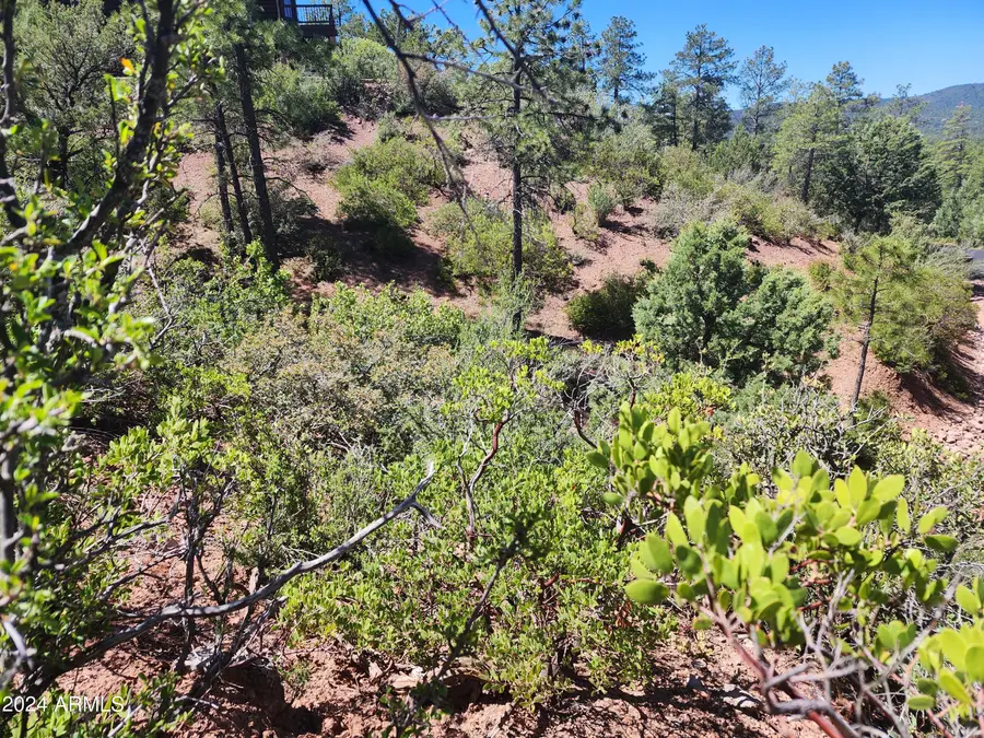 55 Foxtail Circle #55, Pine, AZ 85544 - Image #2