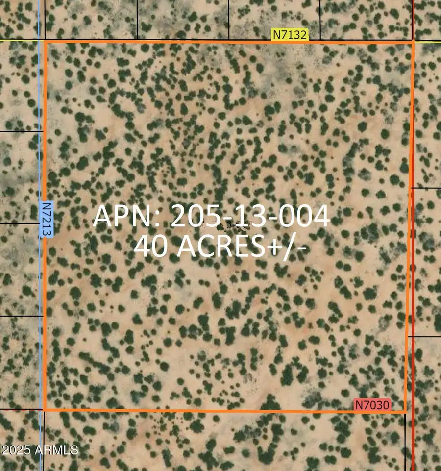 84 County Rd N7123 --, Saint Johns, AZ 85936 - Image #3