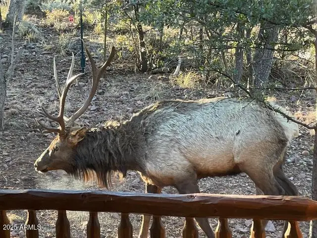 6215 W Sharyn Road, Pine, AZ 85544 - Image #3