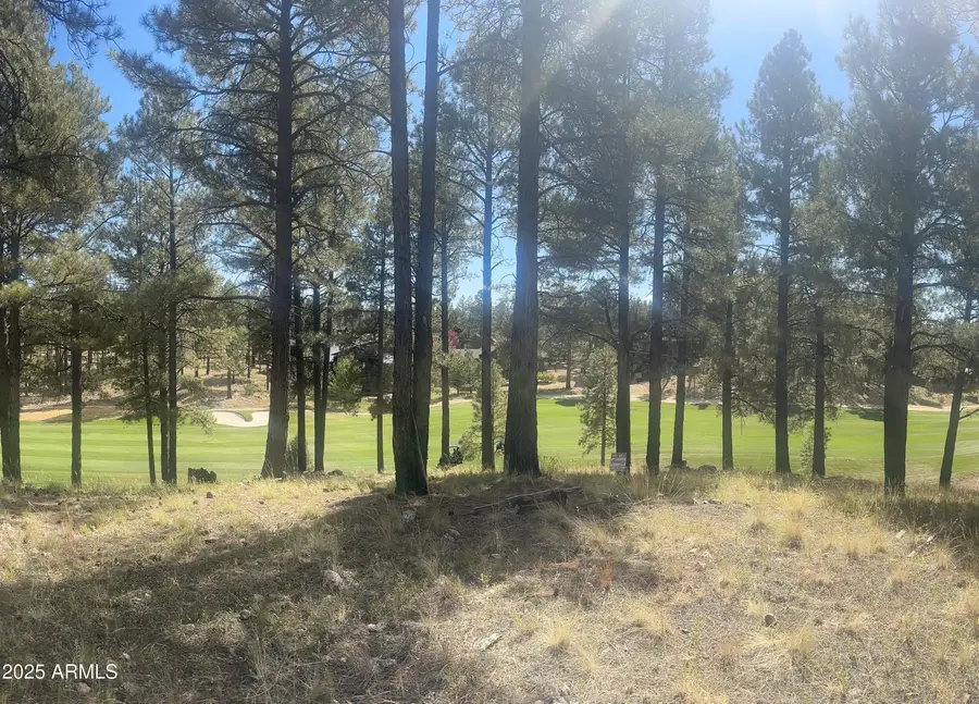 3616 S Woodland Hills Drive #375, Flagstaff, AZ 86005 - Image #2