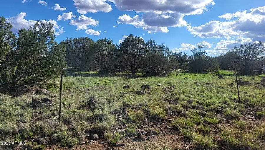 3851 N Boone Trail #56, Ash Fork, AZ 86320 - Image #3