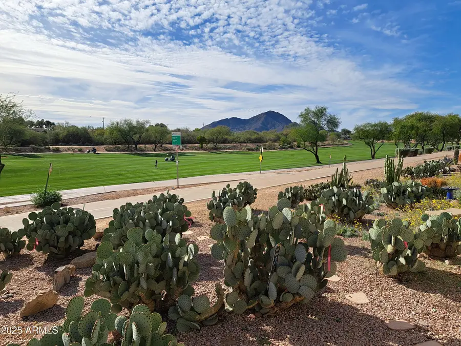 7949 E Joshua Tree Lane, Scottsdale, AZ 85250 - Image #2