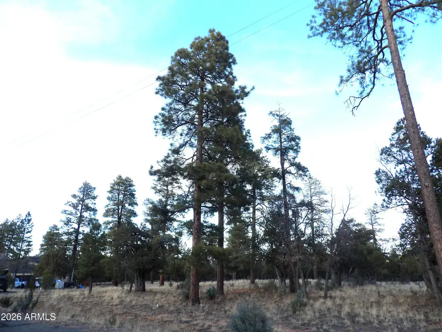 2941 Eagle Ridge Circle #119, Happy Jack, AZ 86024 - Image #2