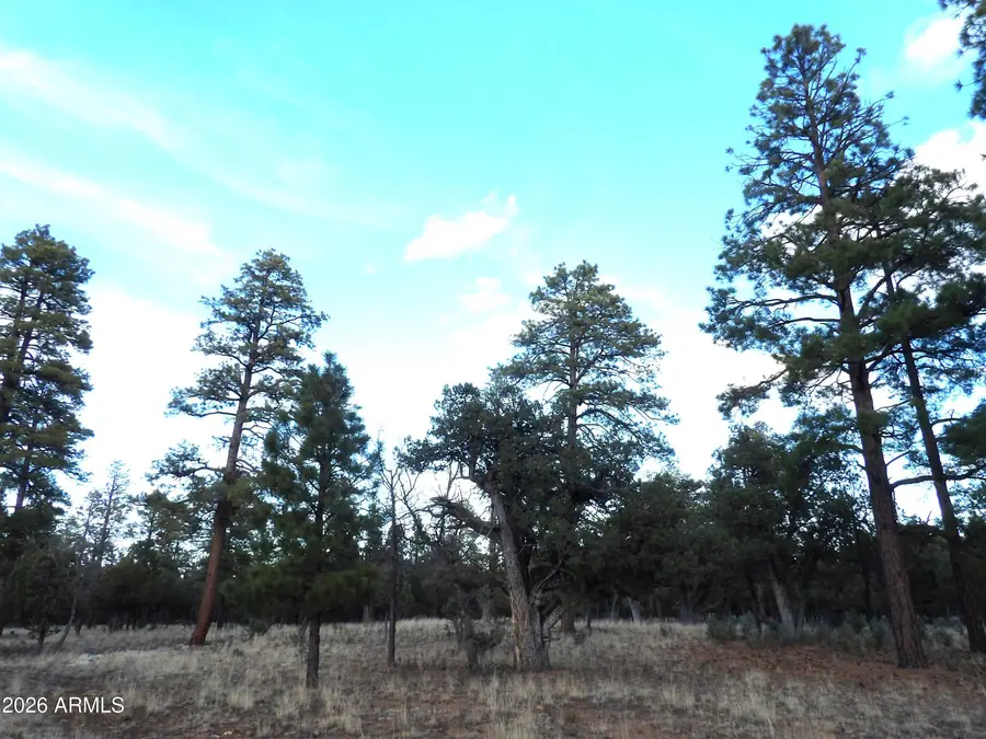 2941 Eagle Ridge Circle #119, Happy Jack, AZ 86024 - Image #3