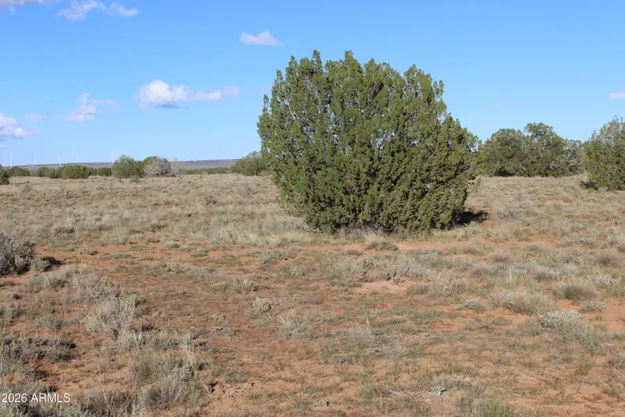 Sec 3 T14n,r17e:se4 --, Heber, AZ 85928 - Image #3