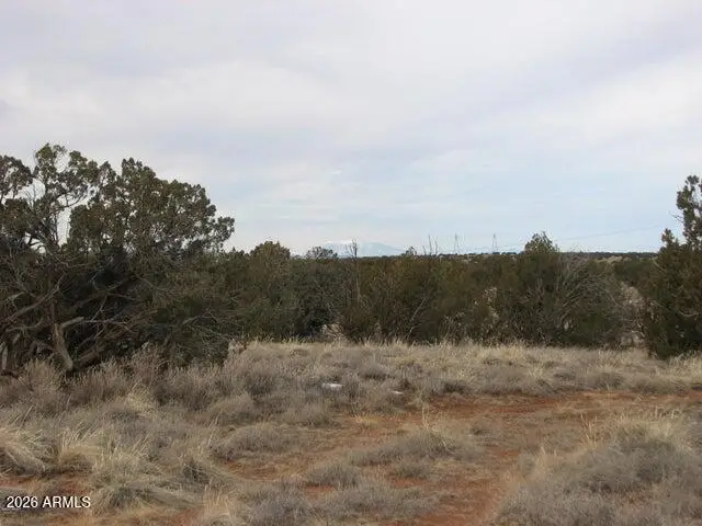 5886 Dark Canyon Drive #98 & 99, Heber, AZ 85928 - Image #3