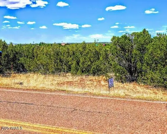 8546 Silver Creek Drive #44, Show Low, AZ 85901 - Image #2