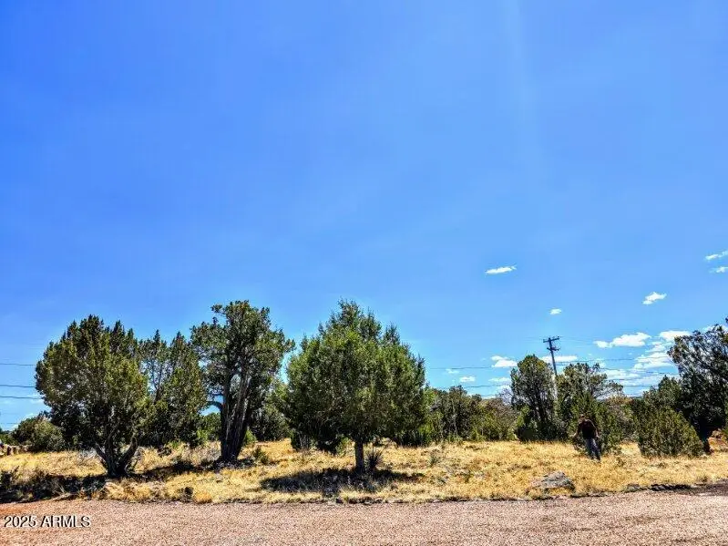 1939 Daggs Circle #24, Show Low, AZ 85901 - Image #2