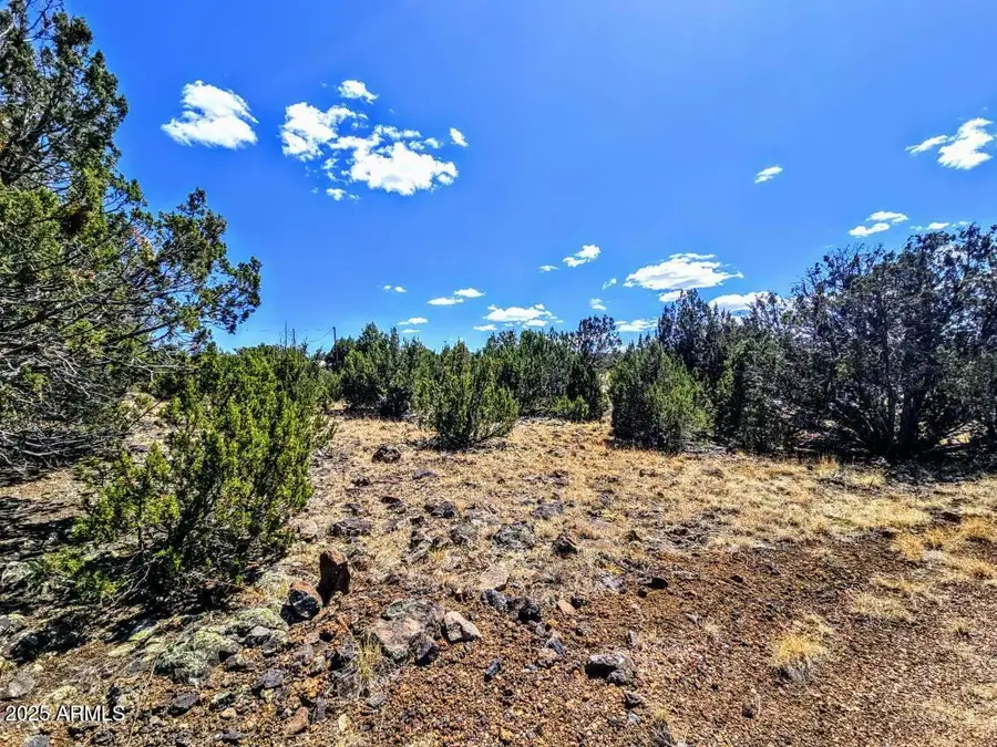 8426 Silver Creek Drive #1, Show Low, AZ 85901 - Image #2