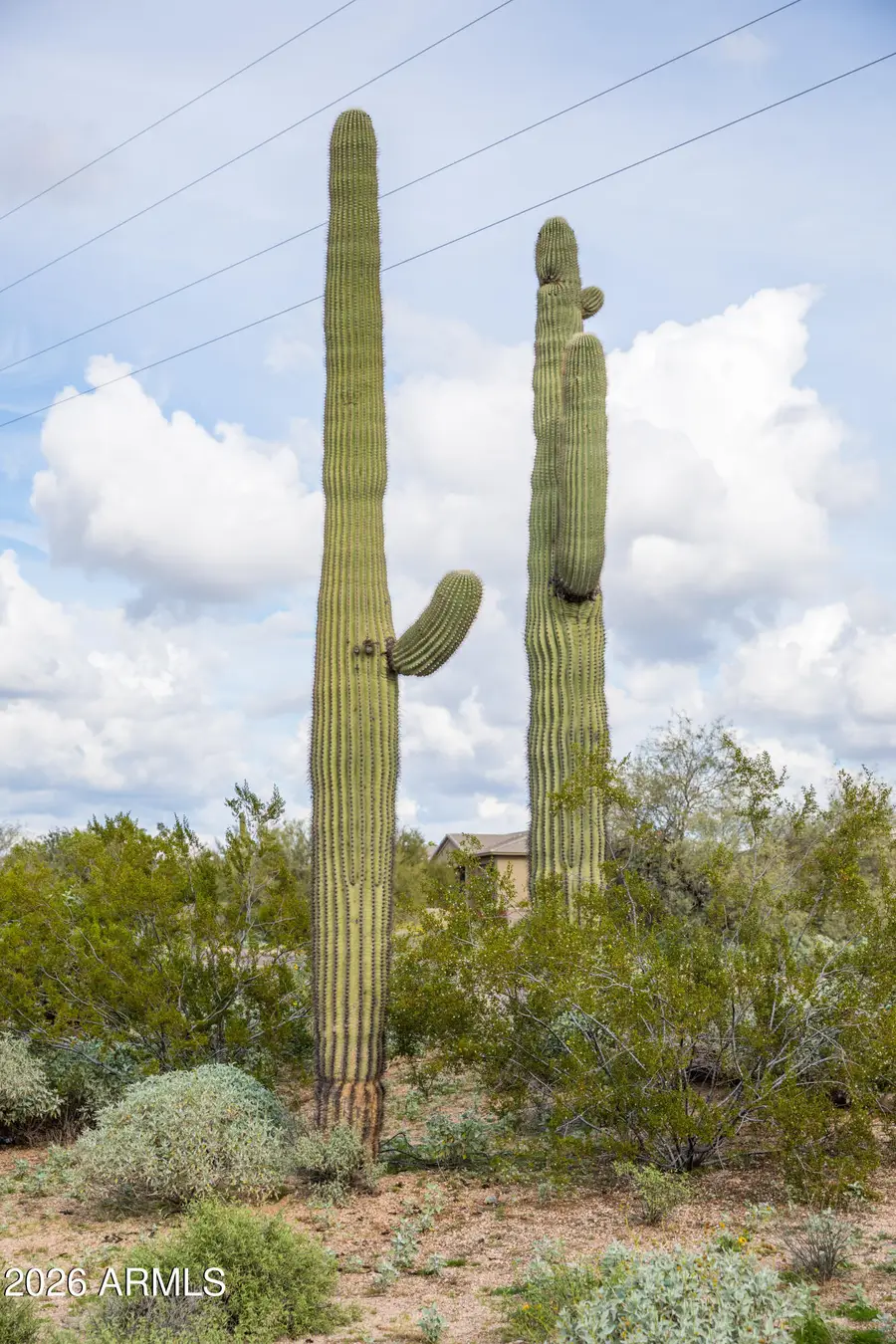 6382 E Calle De Mandel Drive #'-', Scottsdale, AZ 85266 - Image #2