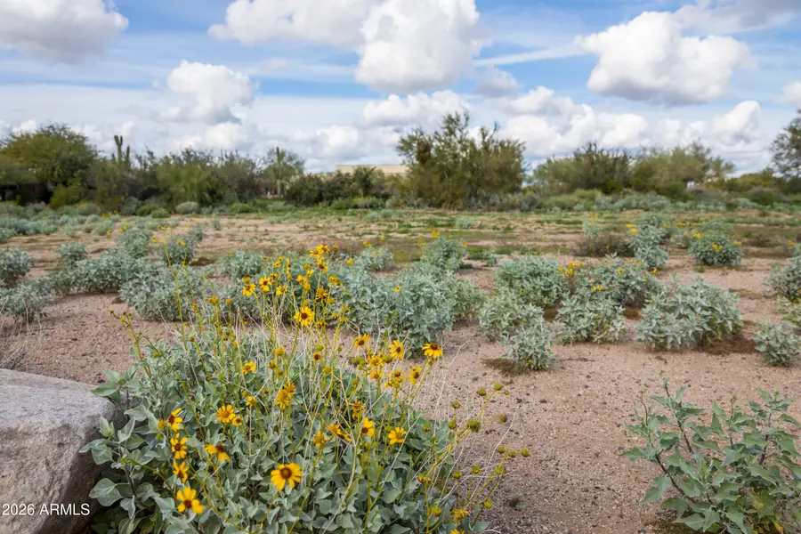 6382 E Calle De Mandel Drive #'-', Scottsdale, AZ 85266 - Image #3