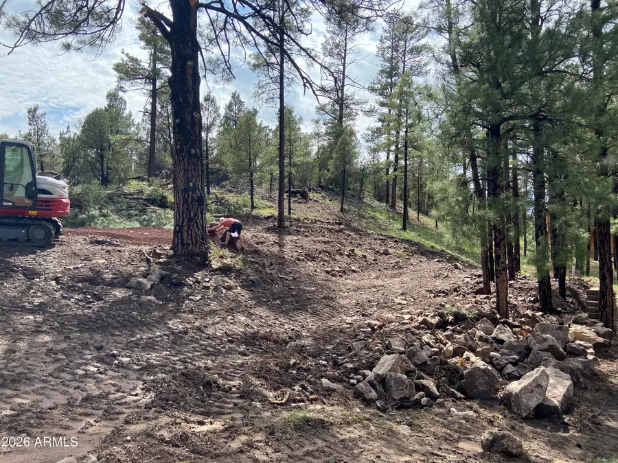 2820 Pine Hill Drive #20, Overgaard, AZ 85933 - Image #2