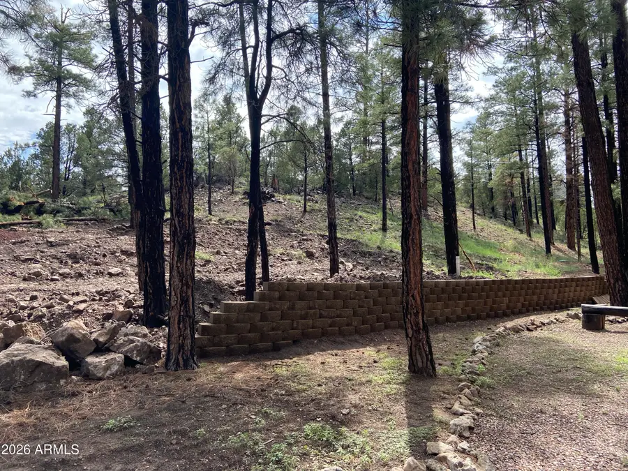 2820 Pine Hill Drive #20, Overgaard, AZ 85933 - Image #3