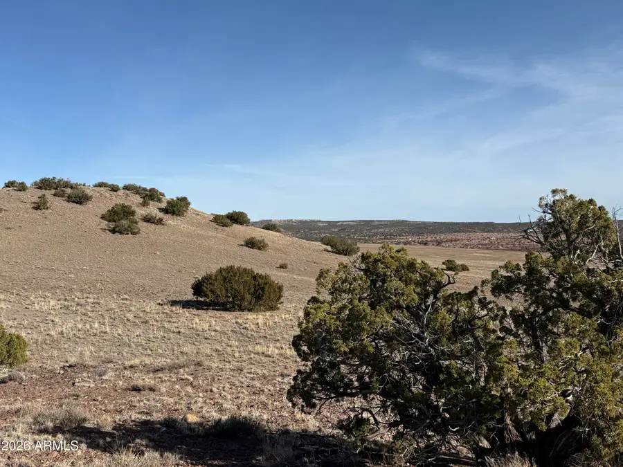 Lot 197 Unit 6 River Springs Ranch -- #197, Saint Johns, AZ 85936 - Image #3