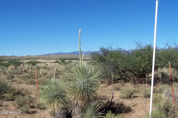 81.24ac S Warpaint Path #13&14, Willcox, AZ 85643