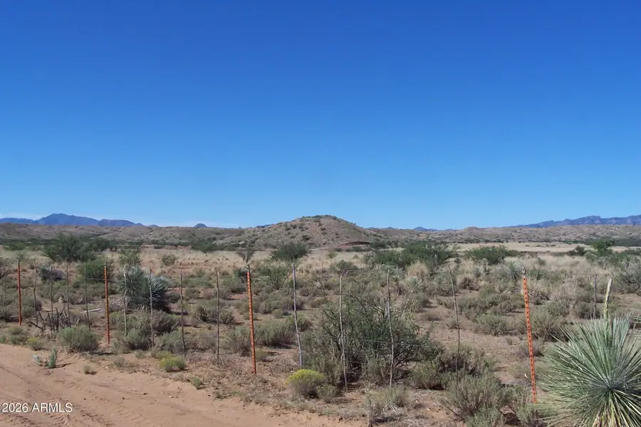 81.24ac S Warpaint Path #13&14, Willcox, AZ 85643 - Image #2