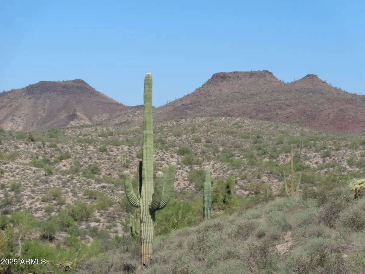 15-C N White Face Canyon Drive #15-C, Fort Mcdowell, AZ 85264 - Image #1