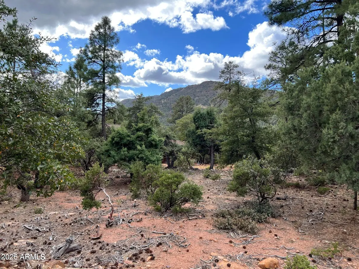 108 W Ruin Hill Loop #108, Pine, AZ 85544 - Image #1