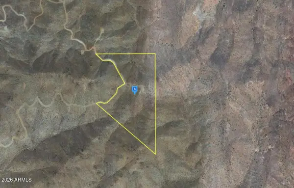 22000 N Cyclopic --, White Hills, AZ 86445