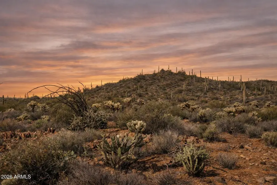 45XXX N Cottonwood Canyon Road, Cave Creek, AZ 85331 - Image #3