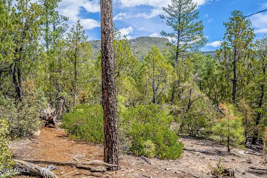 0 Fawn Dr -- #1B, Pine, AZ 85544 - Image #2