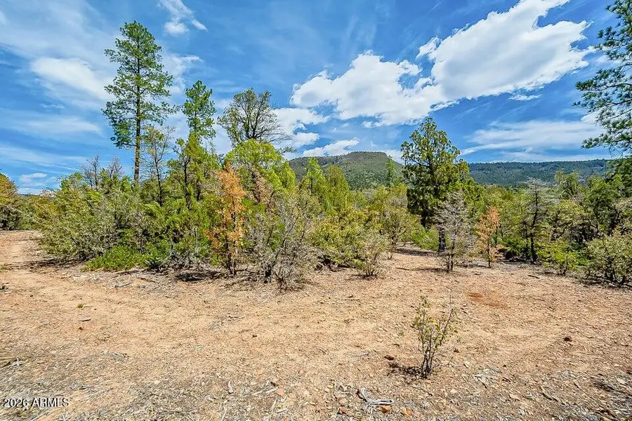 0 Fawn Dr -- #1B, Pine, AZ 85544 - Image #3