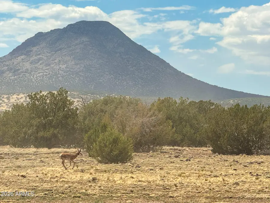 0 W Mile High Rd Lot A 10 Acres -- #84, Ash Fork, AZ 86320 - Image #2