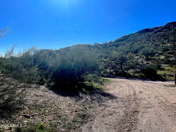 ''000'' N Elephant Butte Road, Queen Valley, AZ 85118