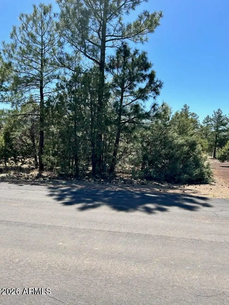 4864 Bison Trail #40, Lakeside, AZ 85929 - Image #2