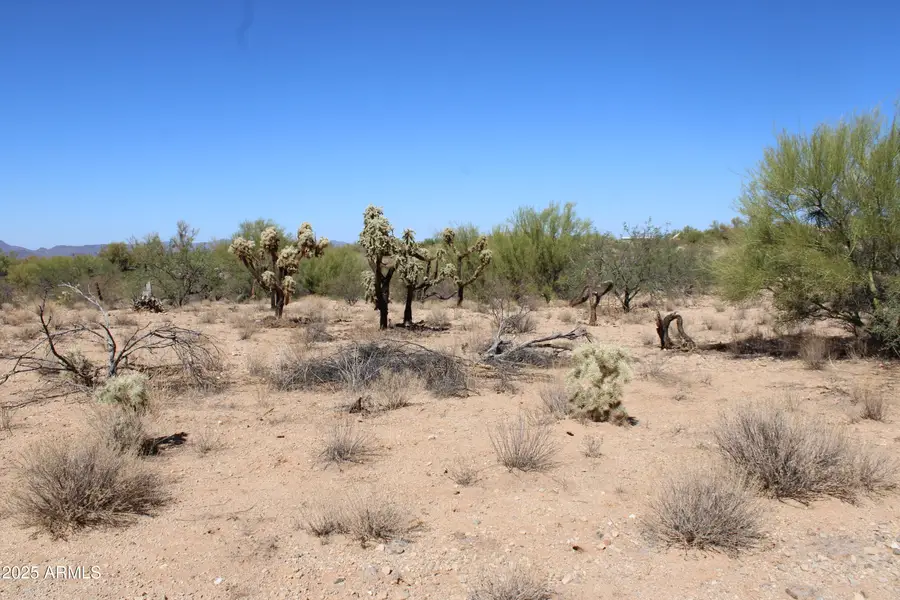 14243 S Shaw Road #00331, Tucson, AZ 85736 - Image #3