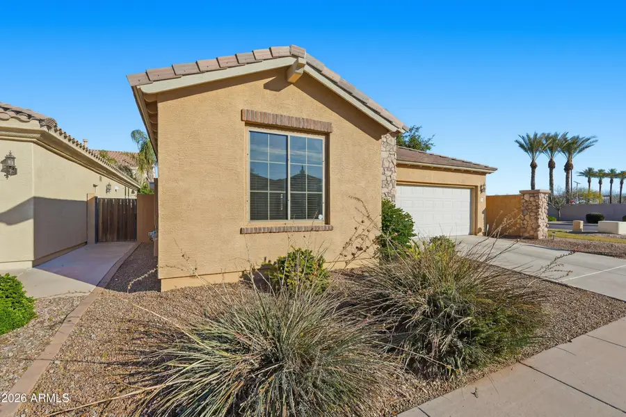 32 W Aster Drive, Chandler, AZ 85248 - Image #3