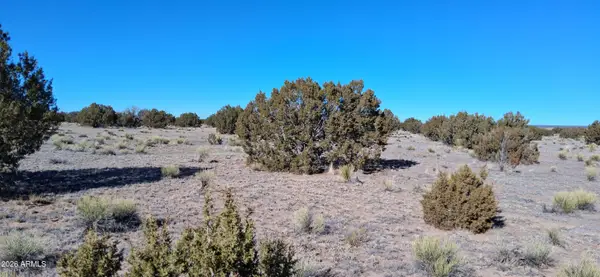 24 County Road N6578 -- #857, St Johns, AZ 85936