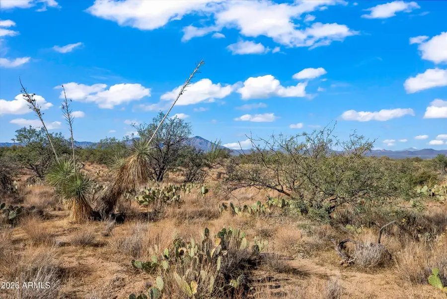 14080 S Duane Avenue S #00208, Tucson, AZ 85736 - Image #3