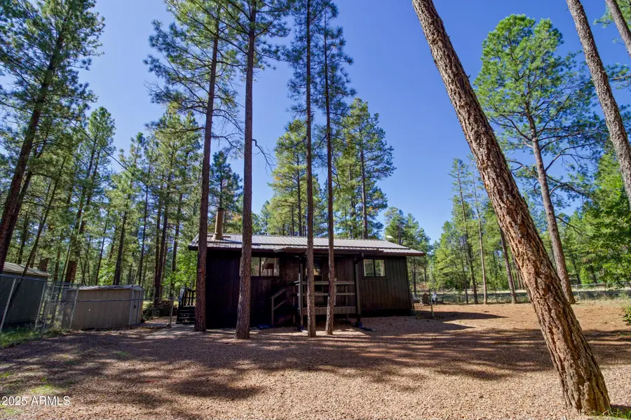 133 W Sky Hi Drive, Pinetop, AZ 85935 - Image #2