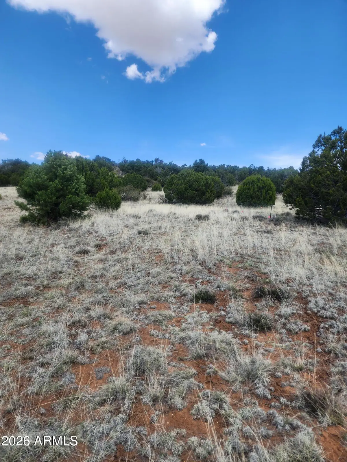 4 Acr 8410 -- #416, Concho, AZ 85924 - Image #1