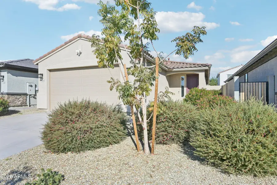 17414 W Via De Luna Drive, Surprise, AZ 85387 - Image #3