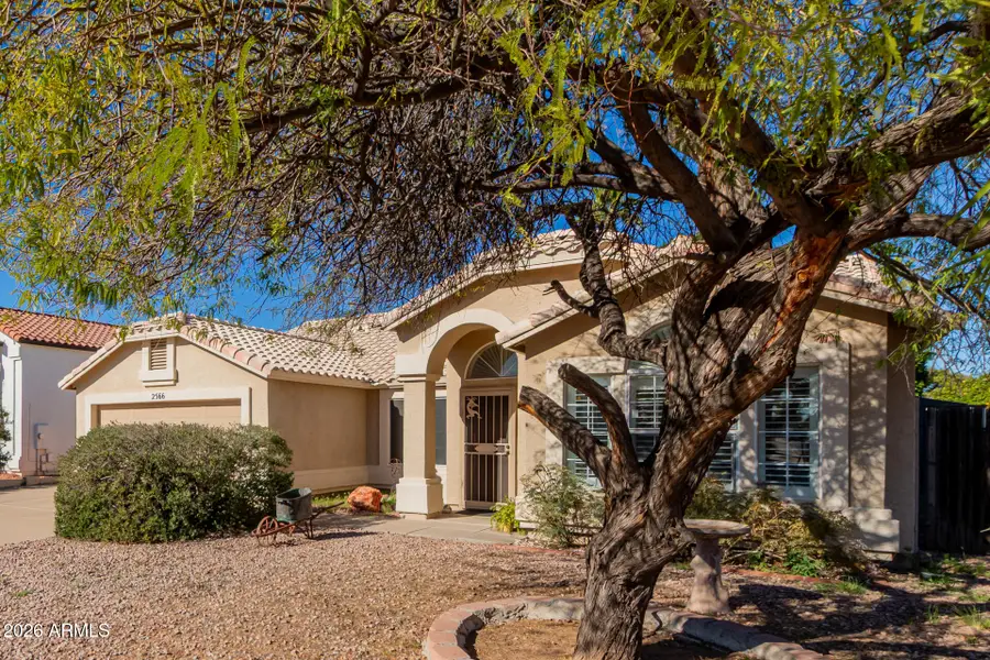 2566 E Lynwood Street, Mesa, AZ 85213 - Image #3