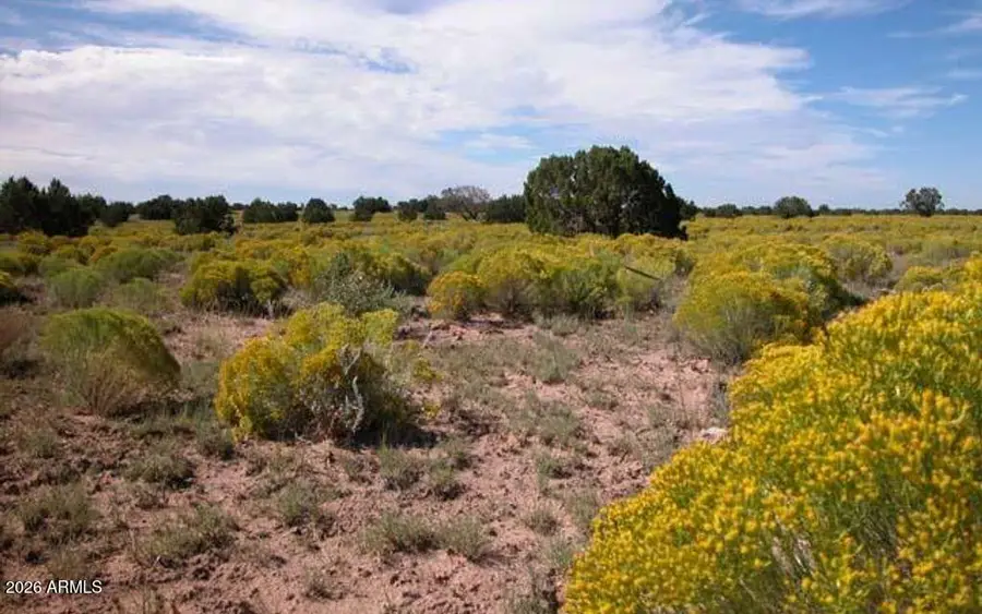 XXX N7393 --, Sanders, AZ 86512 - #2