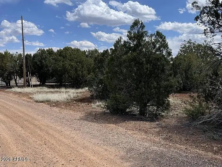 1879 Turkey Flat Place #17, Show Low, AZ 85901 - Image #1