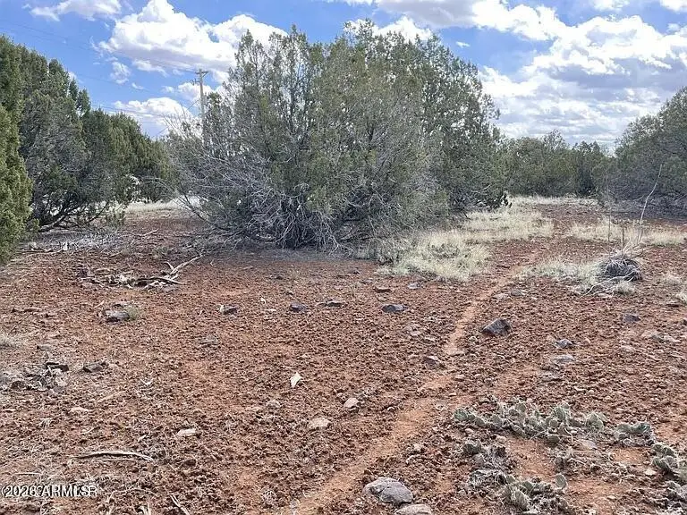 1879 Turkey Flat Place #17, Show Low, AZ 85901 - Image #2