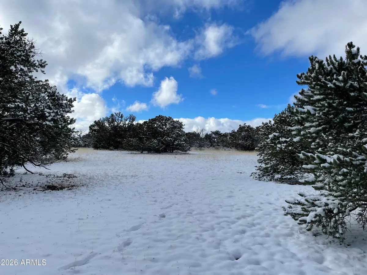 13537 Bly Station Road #414, Williams, AZ 86046 - Image #1