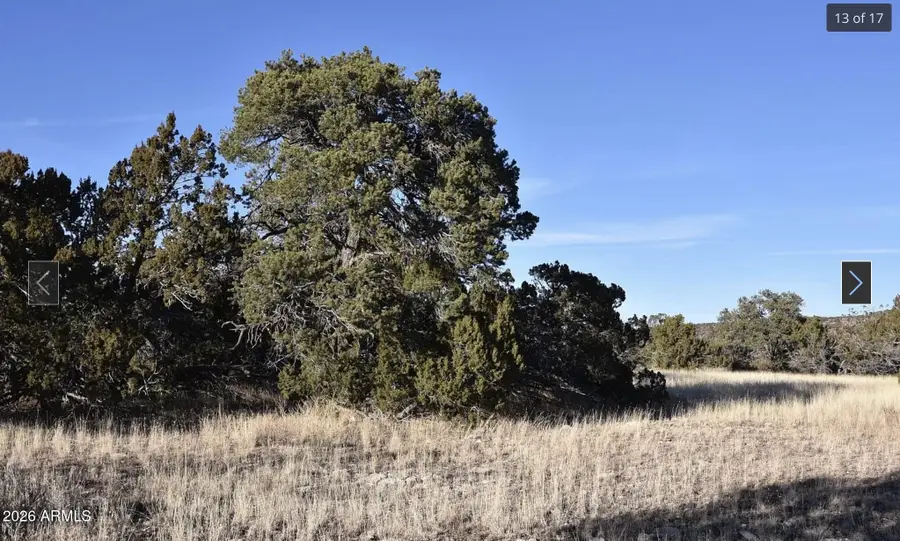 13537 Bly Station Road #414, Williams, AZ 86046 - Image #2