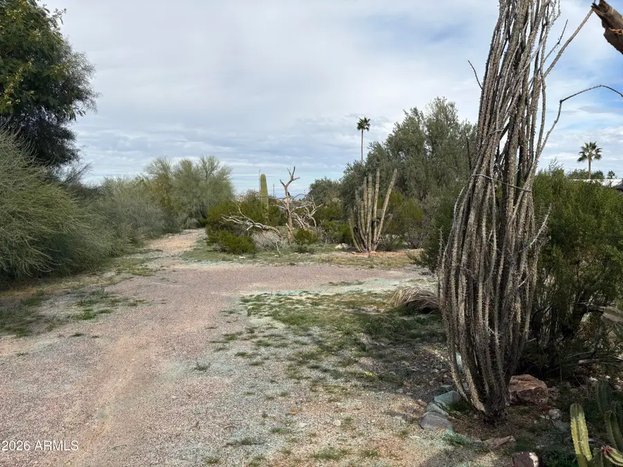 125 E South Mountain Avenue, Phoenix, AZ 85042 - Image #3