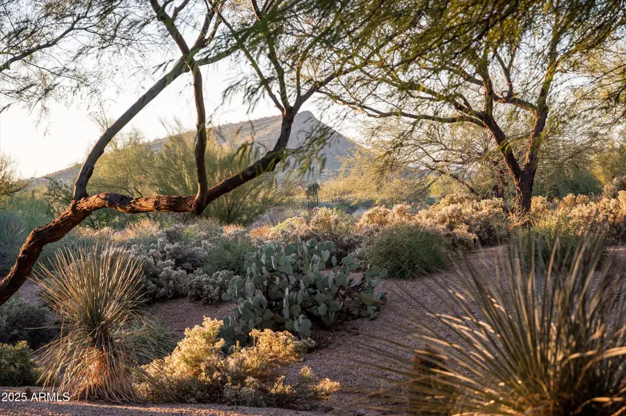 38720 N 104th Street, Scottsdale, AZ 85262 - #2