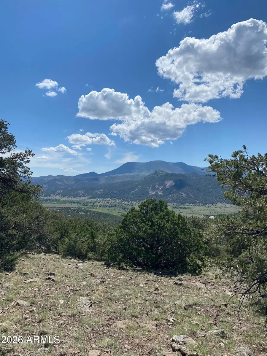 n2331 N N2331 -- #10268001, Nutrioso, AZ 85932 - #3