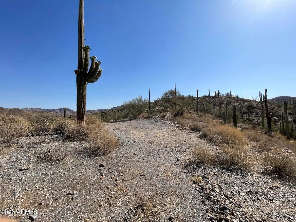 3246 N Silver Tip Trail #B, Queen Valley, AZ 85118 - #1