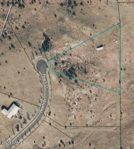 1151 S Peach Court #39, Taylor, AZ 85939