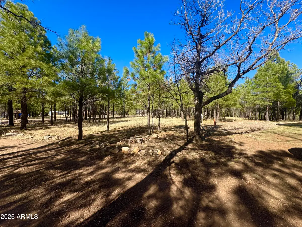 826 Jacks Canyon Drive, Happy Jack, AZ 86024 - #1