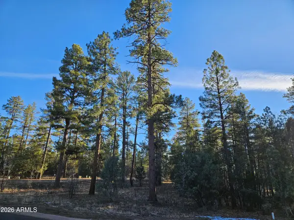 2500 S Pinegrass Road, Show Low, AZ 85901